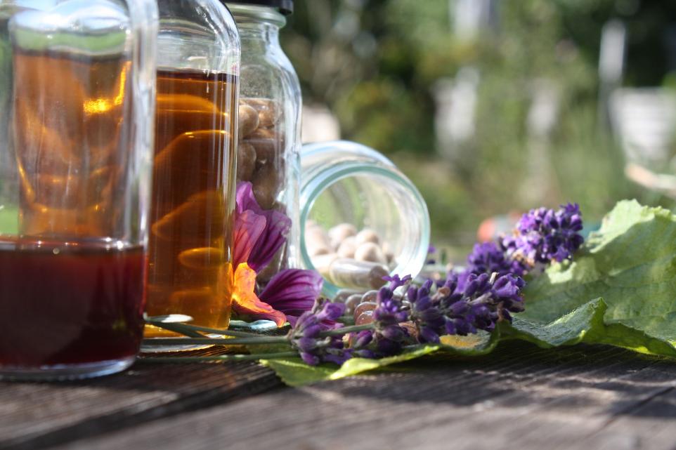 naturpflanzenextrakte in tropfen und kapseln in nahaufnahme mit kraeutern dekoriert