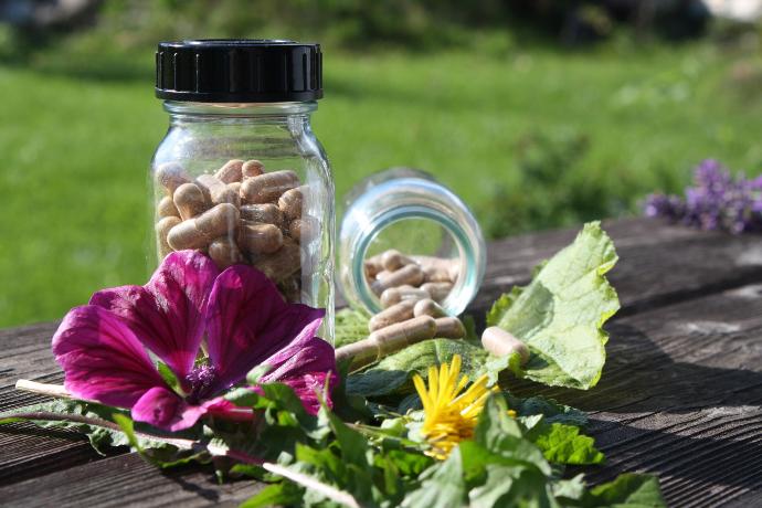 naturpflanzenextrakte in kapseln im glas, davor eine dunkelrosa malvenbluete und eine gelbe loewenzahnbluete, aufnahme in der natur