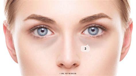 Kräuterblume online shop für Naturheilmittel Gesichtszeichen Organe lesen im Gesicht