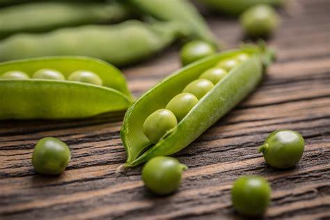 kraeuterblume-blog-darmgesundheit Erbsen in geöffneter Schote